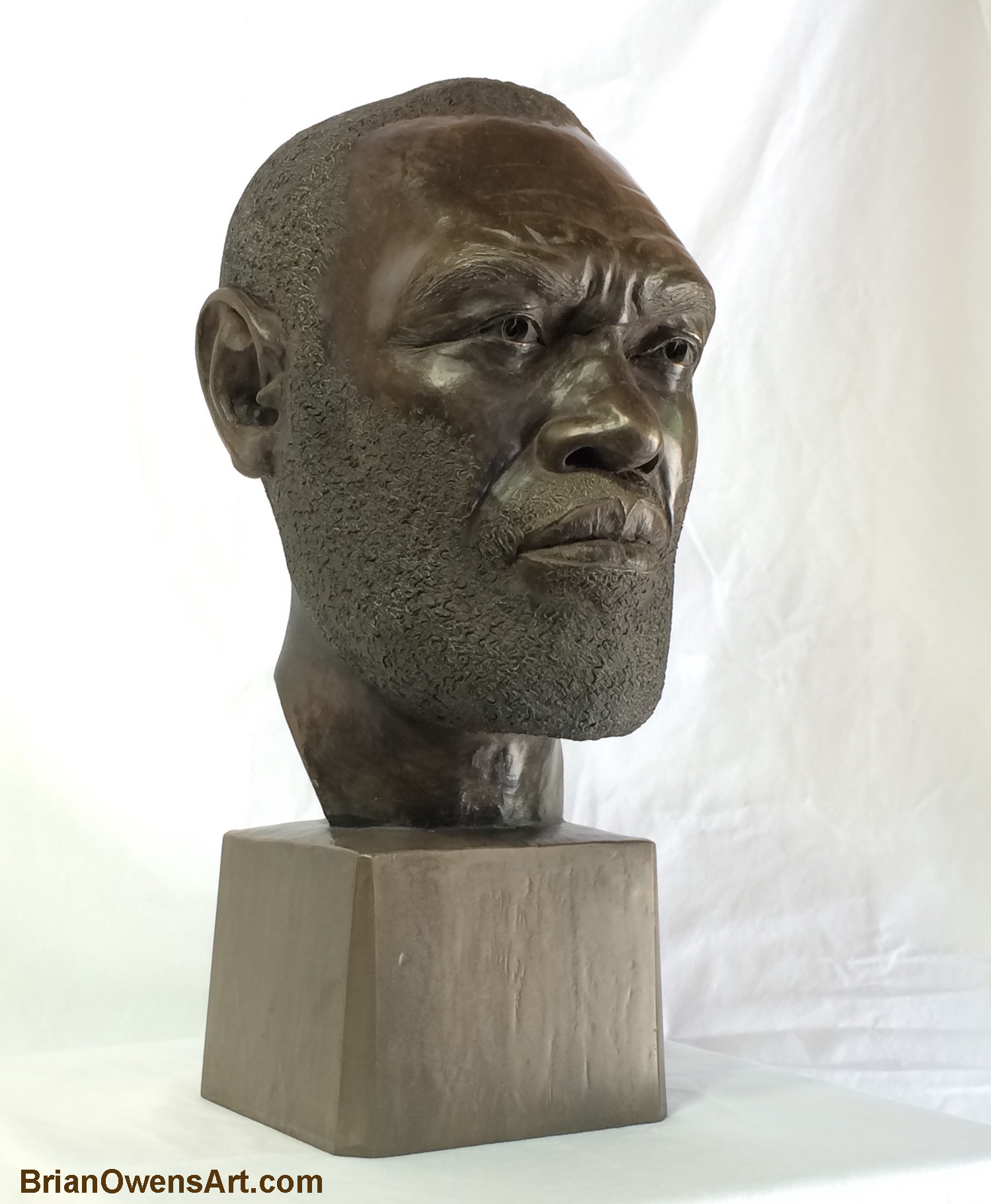 Bronze Bust Statue 1